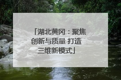 湖北黄冈：聚焦创新与质量 打造三维新模式