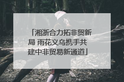 湘浙合力拓非贸新局 雨花义乌携手共建中非贸易新通道