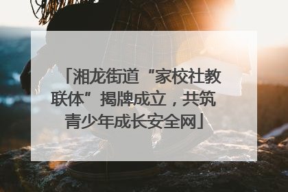 湘龙街道“家校社教联体”揭牌成立，共筑青少年成长安全网