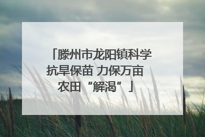滕州市龙阳镇科学抗旱保苗 力保万亩农田“解渴”