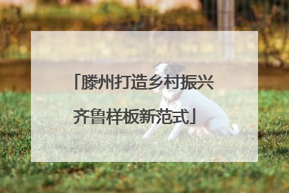 滕州打造乡村振兴齐鲁样板新范式