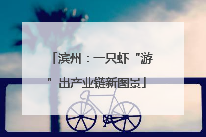滨州：一只虾“游”出产业链新图景