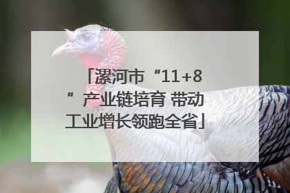 漯河市“11+8”产业链培育 带动工业增长领跑全省