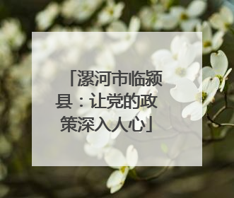 漯河市临颍县：让党的政策深入人心