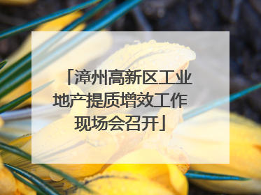 漳州高新区工业地产提质增效工作现场会召开
