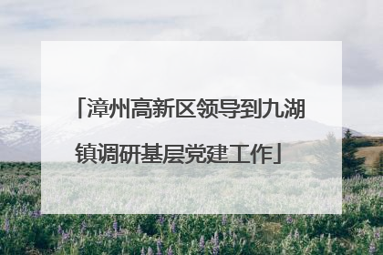 漳州高新区领导到九湖镇调研基层党建工作