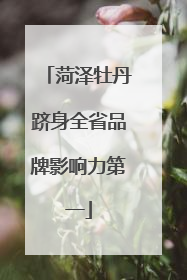 菏泽牡丹跻身全省品牌影响力第一