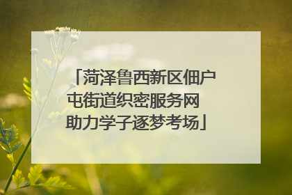 菏泽鲁西新区佃户屯街道织密服务网 助力学子逐梦考场