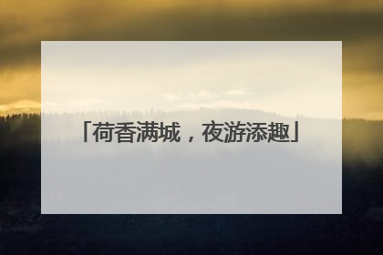 荷香满城，夜游添趣