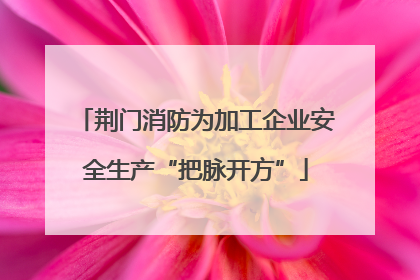 荆门消防为加工企业安全生产“把脉开方”