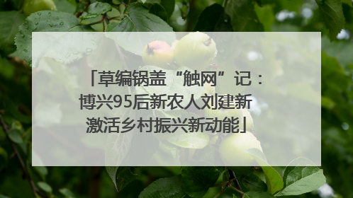 草编锅盖“触网”记：博兴95后新农人刘建新激活乡村振兴新动能