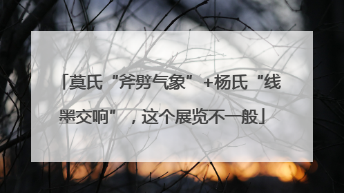 莫氏“斧劈气象”+杨氏“线墨交响”，这个展览不一般