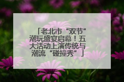 老北市“双节”潮玩盛宴启幕！五大活动上演传统与潮流“碰撞秀”