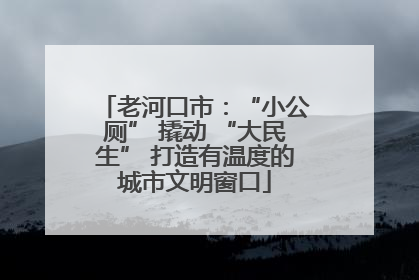 老河口市：“小公厕” 撬动 “大民生” 打造有温度的城市文明窗口