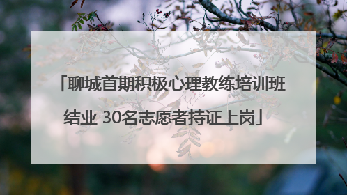 聊城首期积极心理教练培训班结业 30名志愿者持证上岗