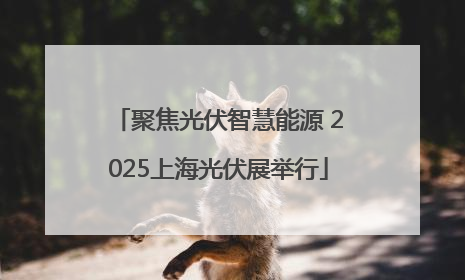 聚焦光伏智慧能源 2025上海光伏展举行