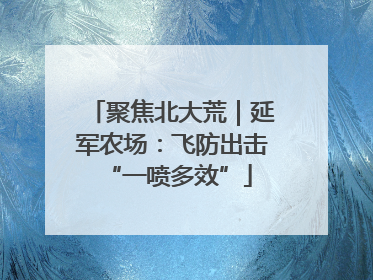 聚焦北大荒｜延军农场：飞防出击 “一喷多效”