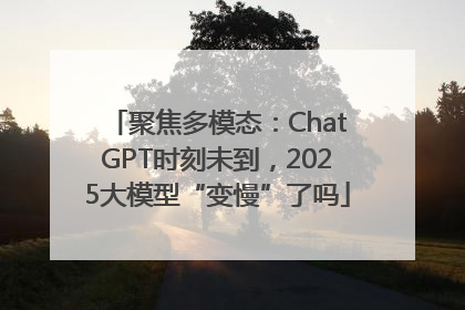 聚焦多模态：ChatGPT时刻未到，2025大模型“变慢”了吗