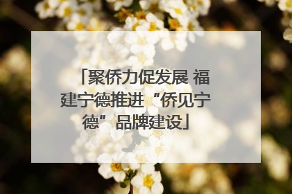 聚侨力促发展 福建宁德推进“侨见宁德”品牌建设