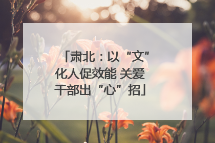 肃北：以“文”化人促效能 关爱干部出“心”招