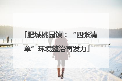 肥城桃园镇：“四张清单”环境整治再发力