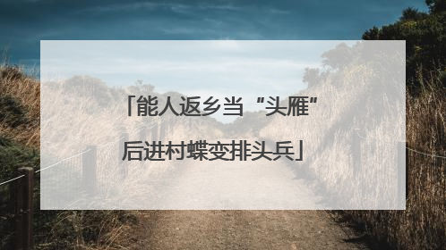 能人返乡当“头雁” 后进村蝶变排头兵