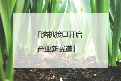 脑机接口开启产业新赛道