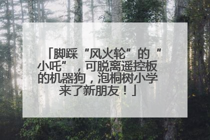 脚踩“风火轮”的“小吒”，可脱离遥控板的机器狗，泡桐树小学来了新朋友！