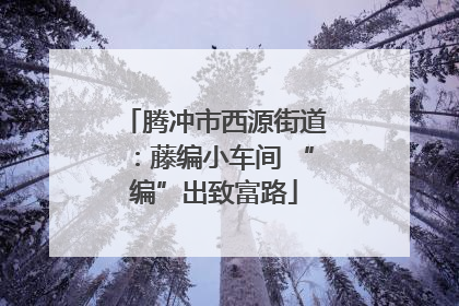 腾冲市西源街道：藤编小车间 “编”出致富路