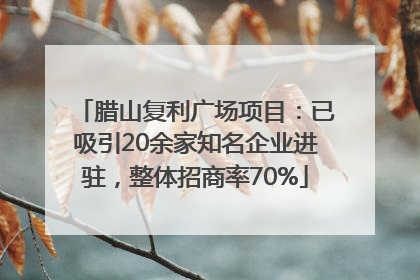 腊山复利广场项目：已吸引20余家知名企业进驻，整体招商率70%