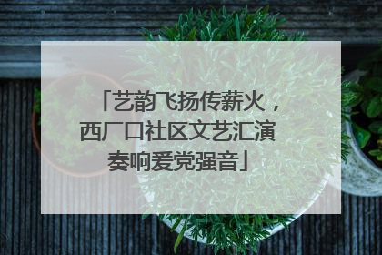 艺韵飞扬传薪火，西厂口社区文艺汇演奏响爱党强音