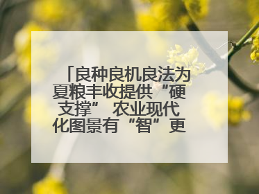 良种良机良法为夏粮丰收提供“硬支撑” 农业现代化图景有“智”更有“质”