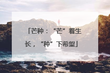 芒种：“芒”着生长，“种”下希望