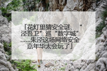 花灯里猜安全谜、“泾吾卫”巡“数字城”……朱泾这场网络安全嘉年华太会玩了