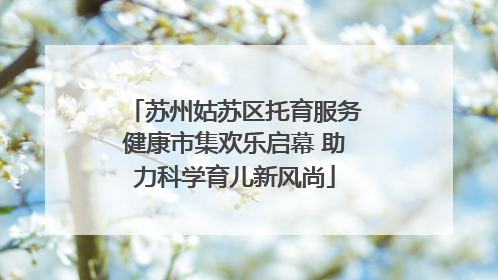 苏州姑苏区托育服务健康市集欢乐启幕 助力科学育儿新风尚