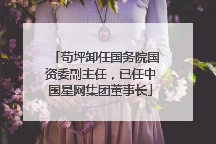 苟坪卸任国务院国资委副主任，已任中国星网集团董事长