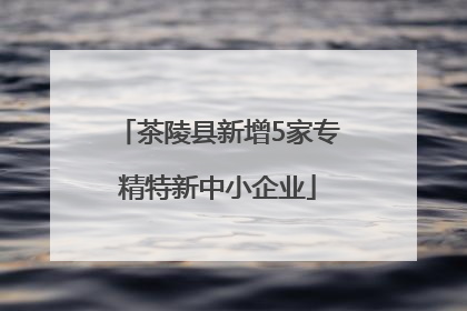 茶陵县新增5家专精特新中小企业