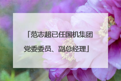 范志超已任国机集团党委委员、副总经理