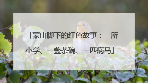 蒙山脚下的红色故事：一所小学、一盏茶碗、一匹病马
