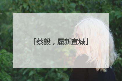 蔡毅，履新宣城