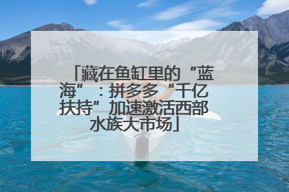 藏在鱼缸里的“蓝海”：拼多多“千亿扶持”加速激活西部水族大市场