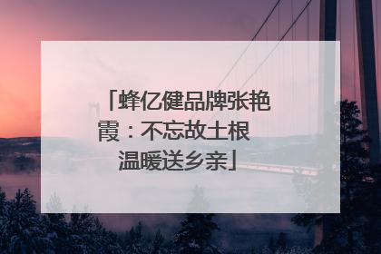 蜂亿健品牌张艳霞：不忘故土根 温暖送乡亲