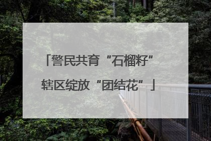 警民共育“石榴籽” 辖区绽放“团结花”