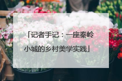 记者手记：一座秦岭小城的乡村美学实践