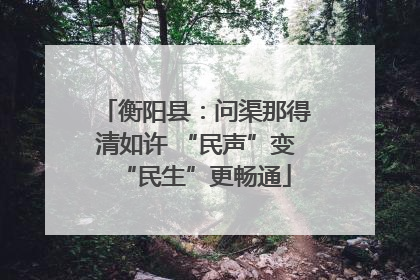 衡阳县：问渠那得清如许 “民声”变“民生”更畅通