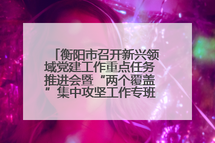 衡阳市召开新兴领域党建工作重点任务推进会暨“两个覆盖”集中攻坚工作专班 第一次会议