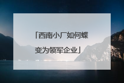 西南小厂如何蝶变为领军企业