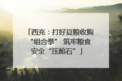 西充：打好夏粮收购“组合拳” 筑牢粮食安全“压舱石”