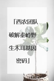 西农团队破解秦岭野生木耳基因密码