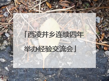 西凌井乡连续四年举办经验交流会